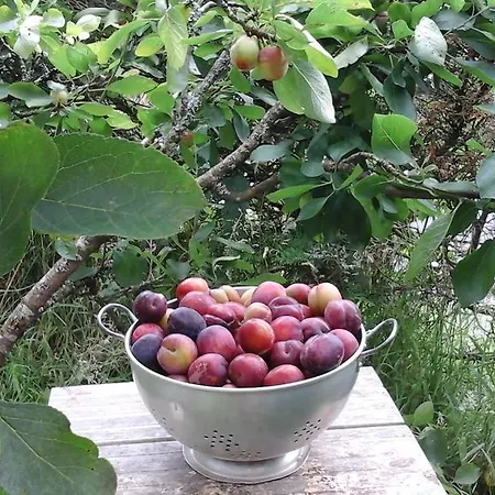 Frühstückspension Donemark Rise Bantry