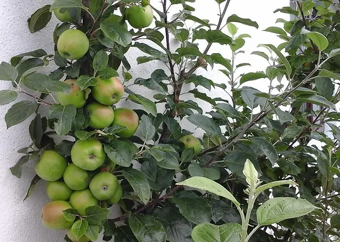 住宿加早餐酒店 多能马克瑞斯住宿加早餐旅馆 3*