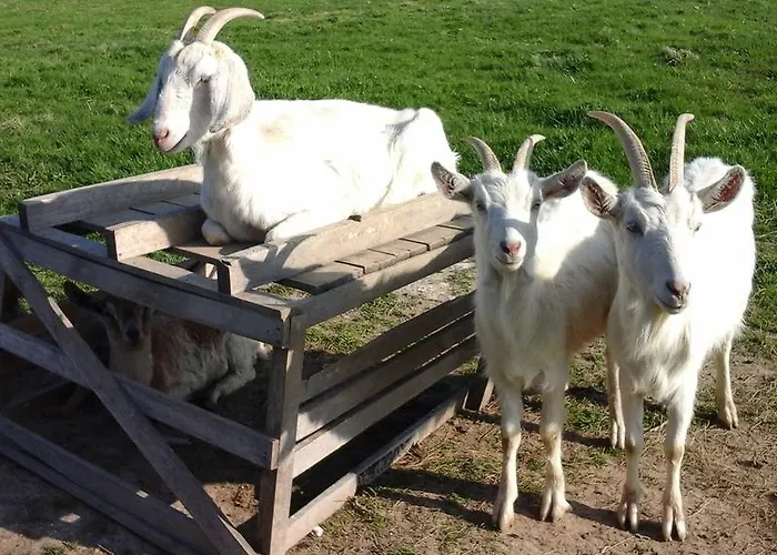 多能马克瑞斯住宿加早餐旅馆 3*